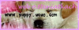 www.puppy.ueuo.com